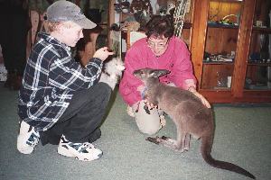 Warrawong Sanctuary (Adelaide Hills)