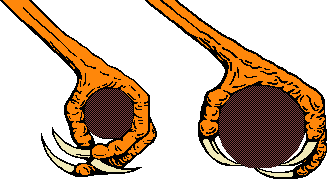 Zu d&uuml;nne und richtige Sitzstange