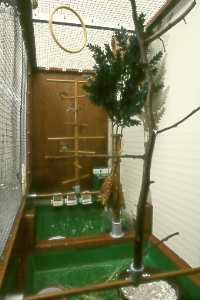 Innenansicht: 2 Sitzb&auml;ume