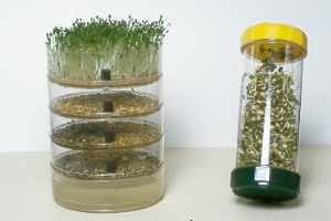 Keimapparate / Sprout makers