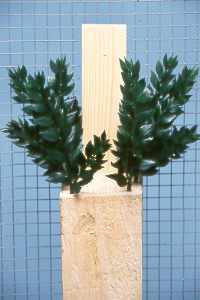 Nistklotz / Nesting block