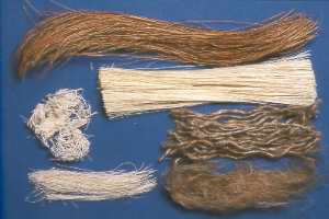 Nistmaterial / Nesting material