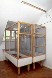 Zimmervoliere 1 / Indoor Aviary 1