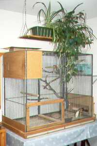 Zimmervoliere 2 / Indoor Aviary 2