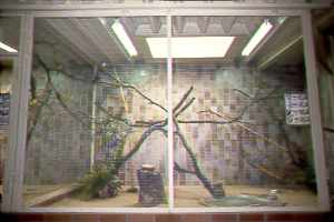 Vogelstube 1 / Room for birds 1